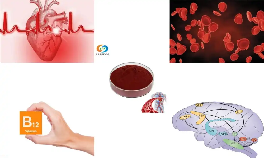 Can you take cyanocobalamin everyday?